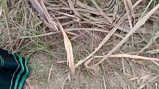 im the new desi indian village girl pissing outdoors public