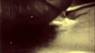 vintage erotic art teases hidden desires