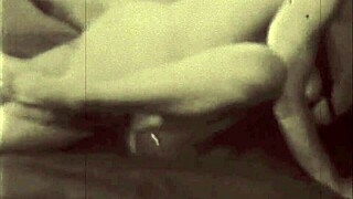 vintage erotic art teases hidden desires