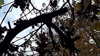 our autumn days unfold romantically in hut with illusion girls