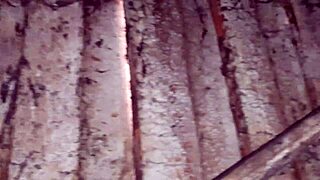 our autumn days unfold romantically in hut with illusion girls