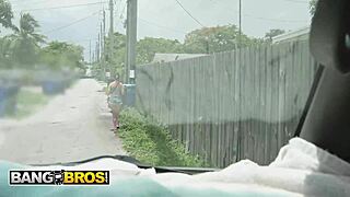 bangbros bangbus ride with asteria jade flashing big tits before cowgirl pounding