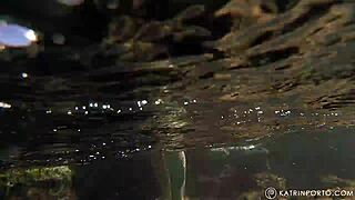 Big ass bbw wife bares hairy bush nude on beach