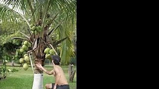 Whoa, this tasty outdoor BJ with the Latina MILF is pure fire 🔥🍆💦