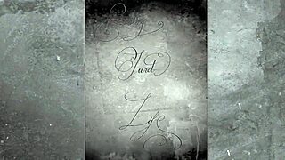 Vintage Films Showcase Hairy Beavers And Pussy Closeups In Retro Style