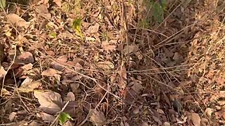 shy ebony village girl fucked outside ranch doggystyle by bbc monster cock