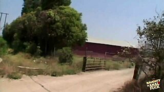 Brunette Hottie Takes Anal Foursome Double Penetration Deep Creampies Thick Facial