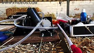 mistress april binds her lesbian slave in rosen garden for kinky anal domination and deepthroat fetish play