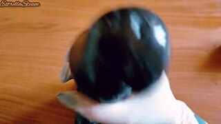 Jerking Monster Black Dildo with Gloves in Close-Up Pov