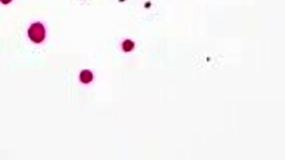 Big tit schoolgirl Sami Parker fucks after class moaning hard