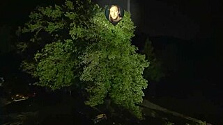 worlds fastest car battles cheetah speed