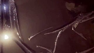 Think you can handle milfycalla's pee play compilation preview?