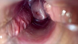 speculum spreads vagina for closeup pulsating orgasm contractions inside