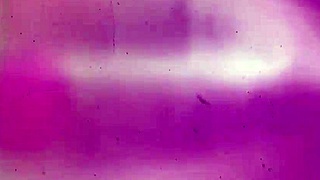 the soft white girl drops to her knees in the car worshipping that massive black n dick with music blasting