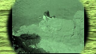 Vintage nudes pose naturally amid lush outdoor wilderness and retro vibes