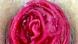 destroyed that juicy prolapsed asshole up close