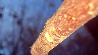 Met a real-life witch in the woods and things got intimate amid the trees and nature