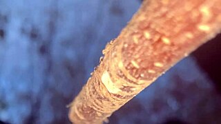 Met a real-life witch in the woods and things got intimate amid the trees and nature