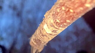 Met a real-life witch in the woods and things got intimate amid the trees and nature