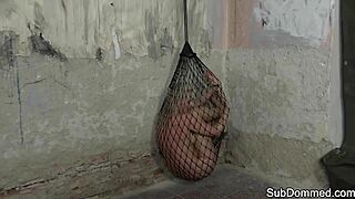 euro sub trapped in maledom web beg for rough humiliation?