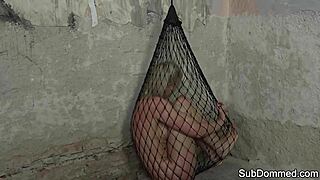 euro sub trapped in maledom web beg for rough humiliation?