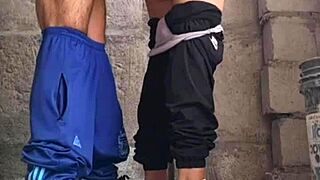 stepsis skips uni for sneaky outdoor fuck 🔥😈