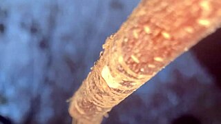 Met a real-life witch in the woods and things got intimate amid the trees and nature