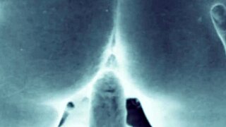 vintage erotic art display