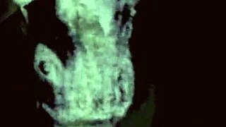 vintage erotic art display