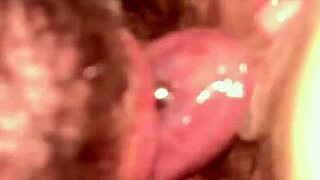 Who's hungry for thirdghost1's intense pussy licking and muff diving action?