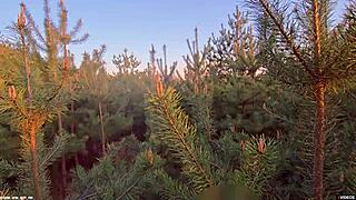 hey neighbor please hold back that creampie urge