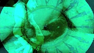 vintage erotic art display