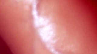 japanese stepmom: blowjob birthday gift for stepson?