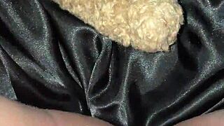 Slutty arabian teen begs bbc penetrate wet tight pussy creampie los angeles