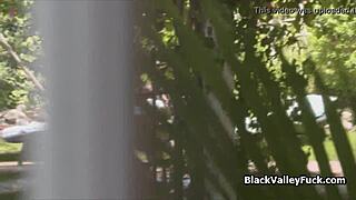 Nubian Princess Guzzles Monster White Cock Poolside Blowjob Frenzy!