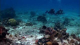 A sexy brunette in bikini cruises the boat in super style