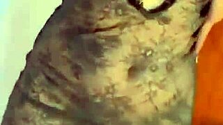 you wanna see my throbbing clit and dripping pussy explode?