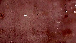 i love fucking this sweet ebony till cumshot creampie