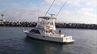 A sexy brunette in bikini cruises the boat in super style