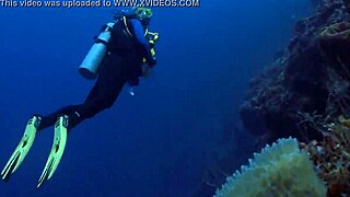 A sexy brunette in bikini cruises the boat in super style