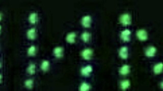 I'm fooling around, silly petite teen!