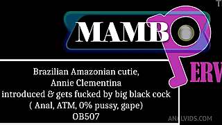 ever wonder how brazilian cutie annie clementine's tight ass takes first anal with pussy gape?