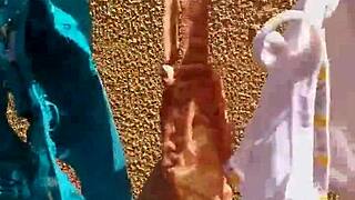 Raw Wife Whore Panties Fucked Prostitute Style Hardcore