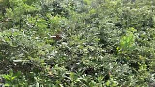 Clitlicker662 Update 40 Image 1437 June 30 2025