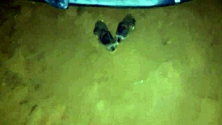 Horny camper fucks dirty outdoors