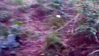 adventure time in the public woods 😏🌳👅