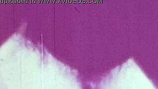 dark lantern entertainment drops two centuries of wild vintage clips