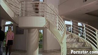 heart racing as horny haley paige gets rough fucked doggystyle in kitchen panties