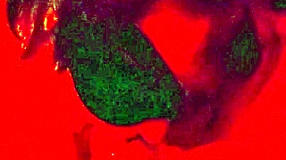 Cum-Hungry Amateur Wife Delivers Deepthroat Blowjob Handjob Oral Skills Red Light Videos Part 10