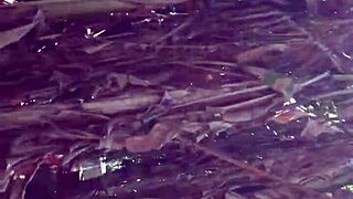 Stepmom doggy anal like total sex toy! 🍑🔥